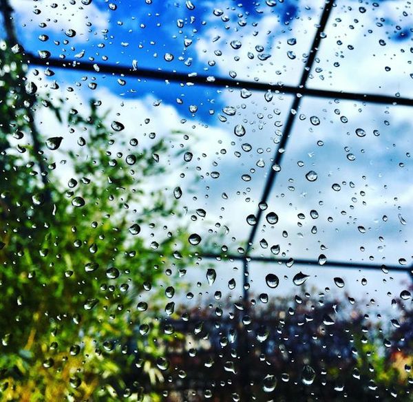rain glass
